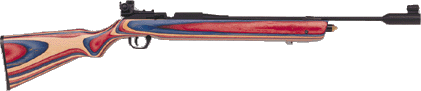 airgun_image